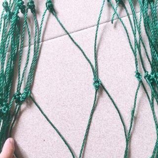 Lưới trồng cây (dây leo dàn)