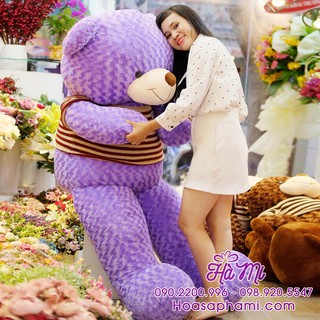 Gấu Teddy size 1m6 Áo Len cao cấp màu tím hình thật (Miền Nam)