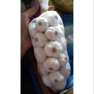 Tỏi Phan Rang củ to đẹp 500gr