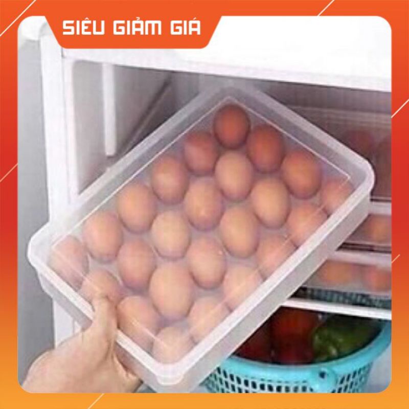 KHAY ĐỰNG TRỨNG ĐA NĂNG_ KHAY ĐỰNG 24 QUẢ