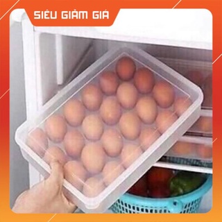 Khay đựng trứng đa năng_ khay đựng 24 quả