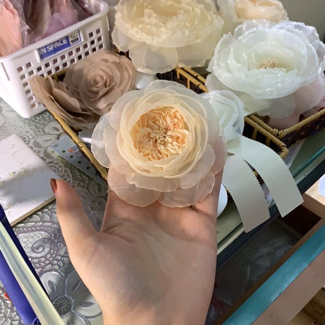 hoa cài áo(Trần Mai Thương)
