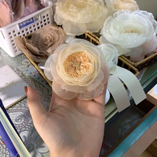Hoa cài áo