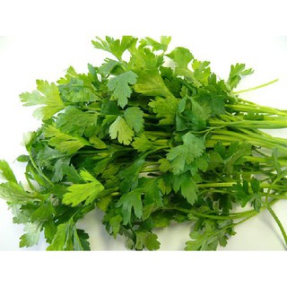 Hạt giống rau mùi tây