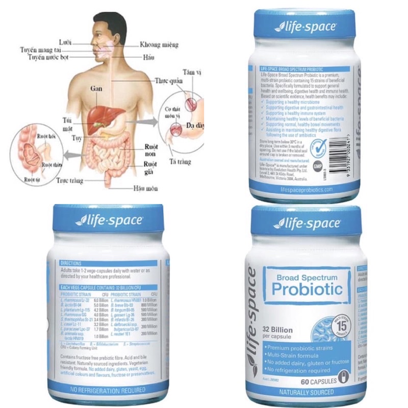 Men Vi sinh Úc hàng cao cấp Lifespace