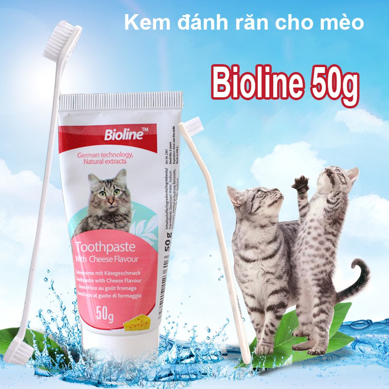 Bộ Kem đánh răng cho mèo Bioline 50g + Bàn chải - CutePets