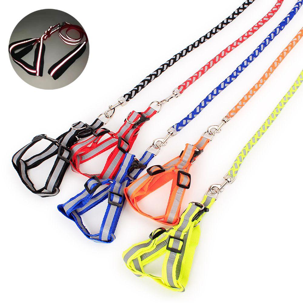 Đai Dắt Thú Cưng Phản Quang Tiện Dụng