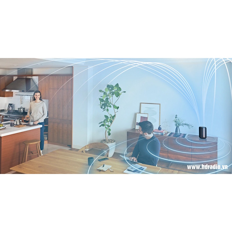 Loa bluetooth Sony SRS-RA3000