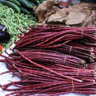 [GIÁ GỐC] Hạt giống đậu đũa đỏ ( NGON GIÒN NĂNG SUẤT) - 3 gram