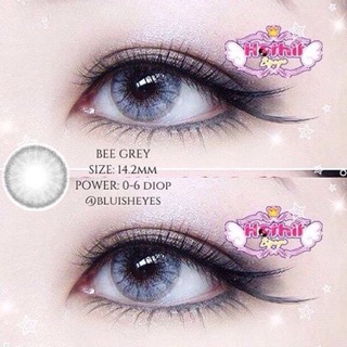 Lens vassen tây Bee gray có độ cận