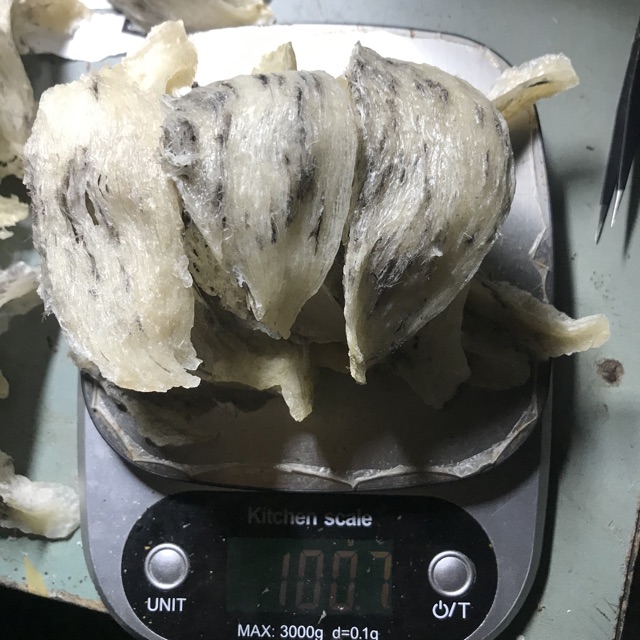 Yến sào thô nguyên tổ Nha Trang, Khánh Hoà 100g +🎁🎁🎁
