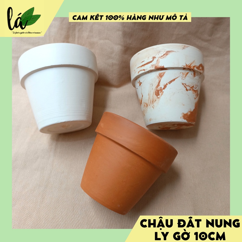 Chậu đất nung ly gờ trồng sen đá, xương rồng, kiểng lá, cây trong nhà (ảnh thật)