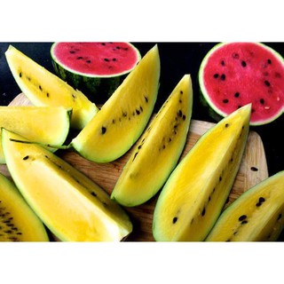 Dưa Hấu Ruột Vàng - Thái Lan