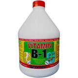 Chế phẩm kích ra rễ Super root B1 5 lít kèm ống đong (can vuông 5 lít)