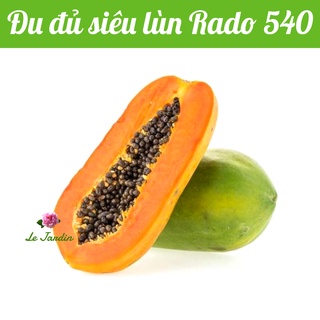 Hạt giống đu đủ siêu lùn rado 540 - thích hợp trồng chậu
