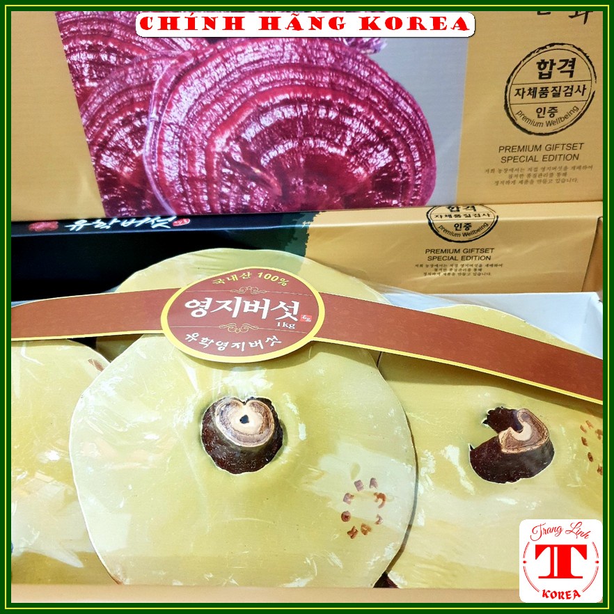 Nấm linh chi hàn quốc thượng hạng - Nấm hộp quà vàng chanh 1kg, tranglinh