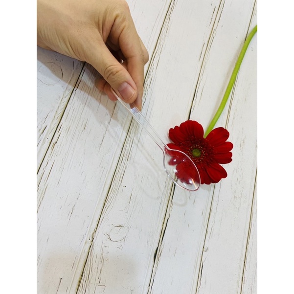 Set 10 Muỗng nhựa cứng - trong - 12cm