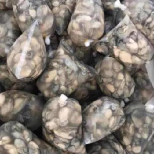 Hàu sữa nguyên vỏ 1kg