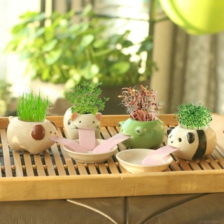 Desk Flower Pot Automatic Watering Flower Pot