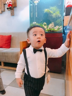 Bộ công tử
