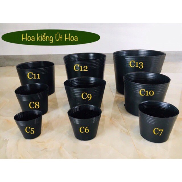 Combo 50 chậu nhựa đen C5