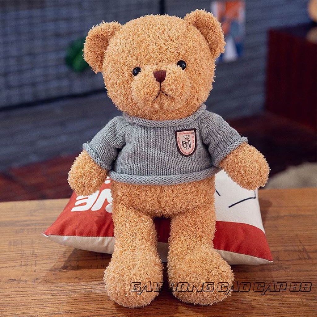 Gấu Bông Đồ Chơi cho bé Teddy Mặc Áo Len Nhiều Size Nhồi Gòn Cao Cấp Bao Xinh