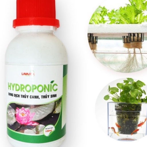 Phân Dung dịch dinh dưỡng thủy canh, Phân Thủy Sinh Cao Cấp (Tôt Cho Rau-Củ-Quả)