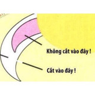 KÌM BẤM MÓNG KÈM RŨA CHO CHÓ MÈO