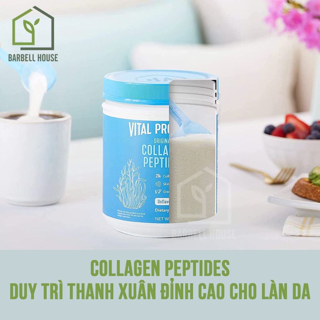 Collagen Peptides 20.000mg - Collagen thuỷ phân phục hồi da mỏng yếu, căng sáng da, chống lão hóa Vital Protein