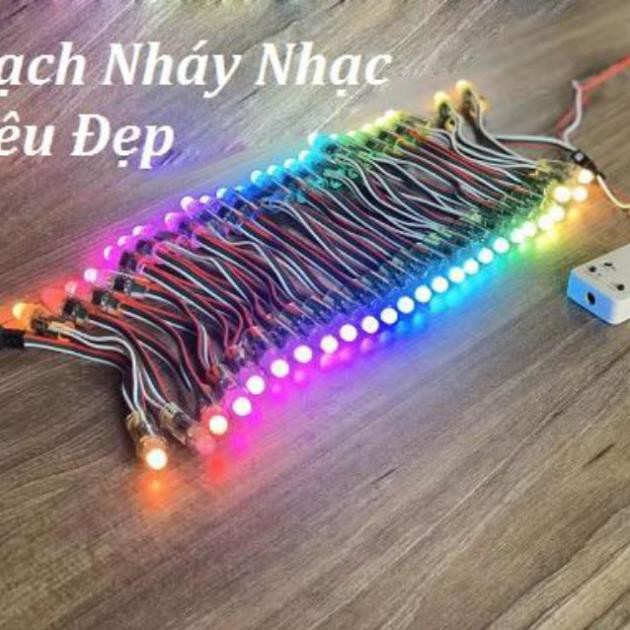 Bộ 50 Led Đúc 1903 Chống Nước, Nháy Theo Nhạc Tuyệt Đẹp - Tự Trang Trí