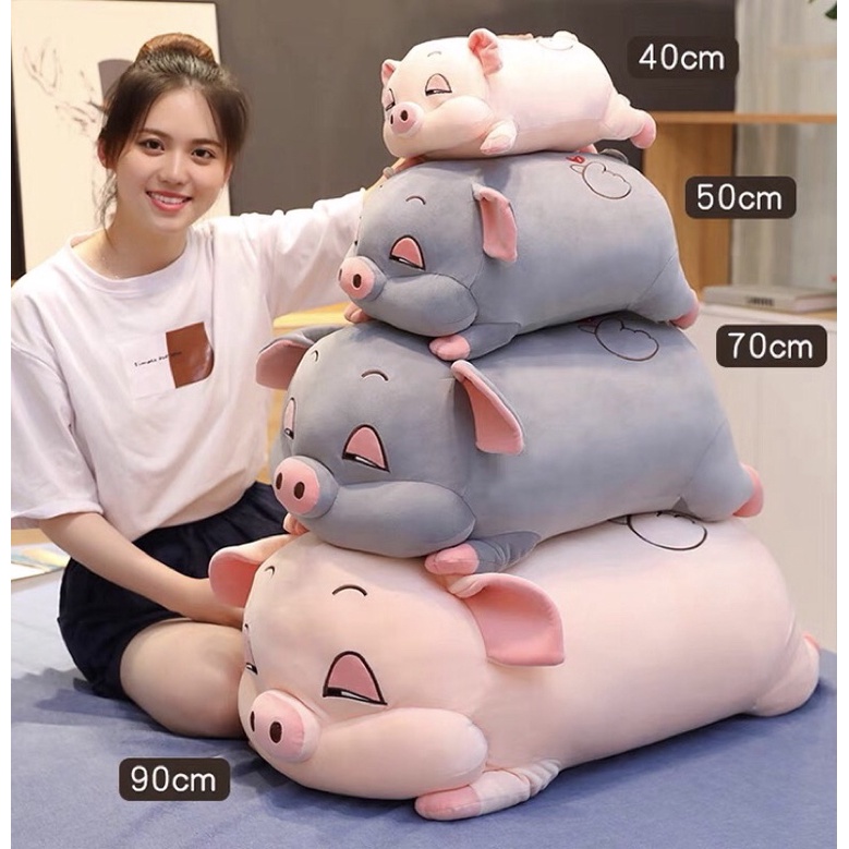 Gối ôm hình thú con heo béo mắt hí cute thú nhồi bông con lợn ngủ béo ú kích thước 35cm 55cm 80cm