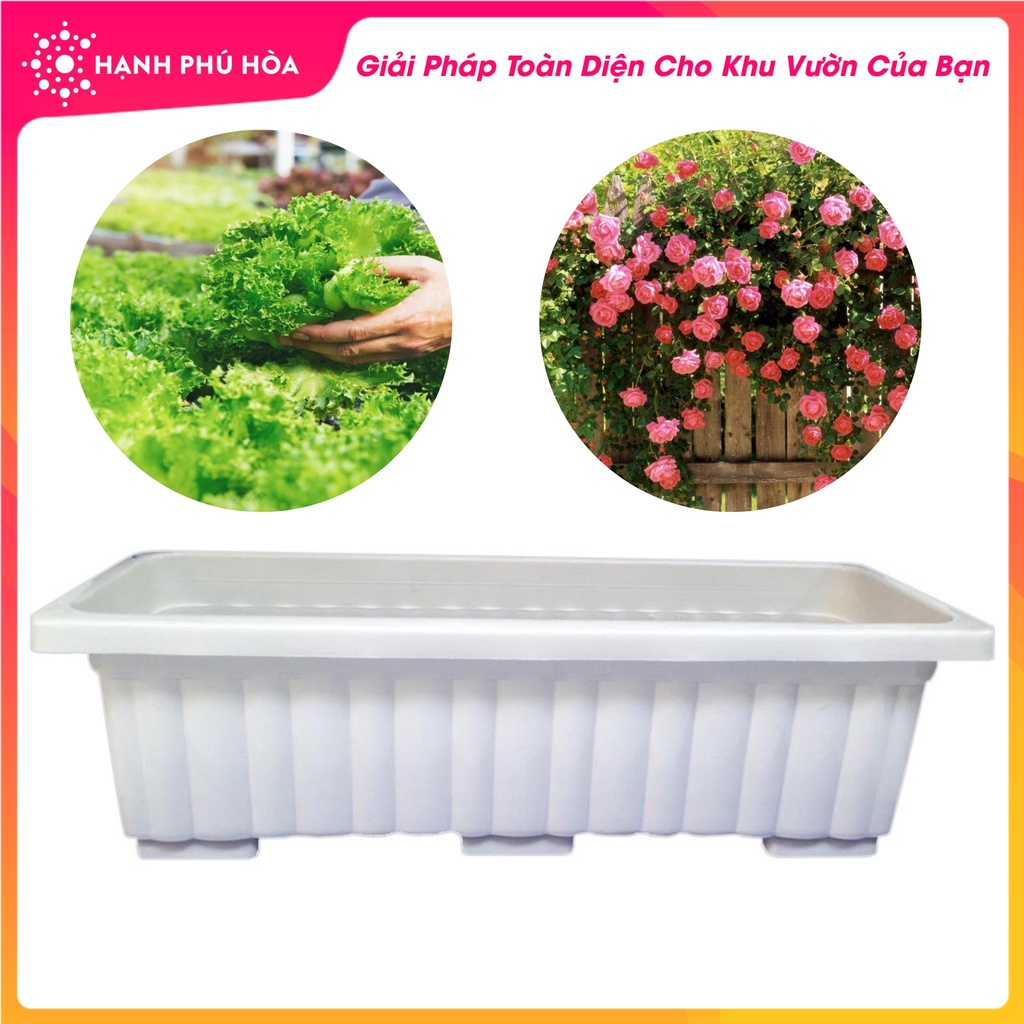 Khay Nhựa Trắng Chữ Nhật - Trồng Rau Mầm, Rau Xà Lách, Rau Gia Vị - Nhẹ, Bền, Đa Năng, Có Lỗ Thoát Nước