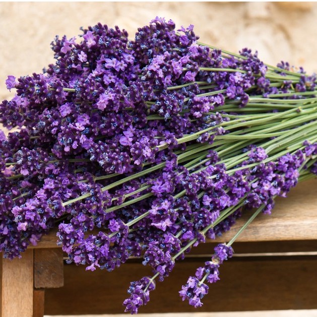 Bột Huân Thảo (Lavender) Nguyên Chất Cao Cấp