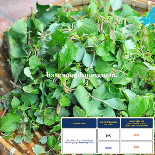 5GR - HẠT GIỐNG RAU DỀN CƠM