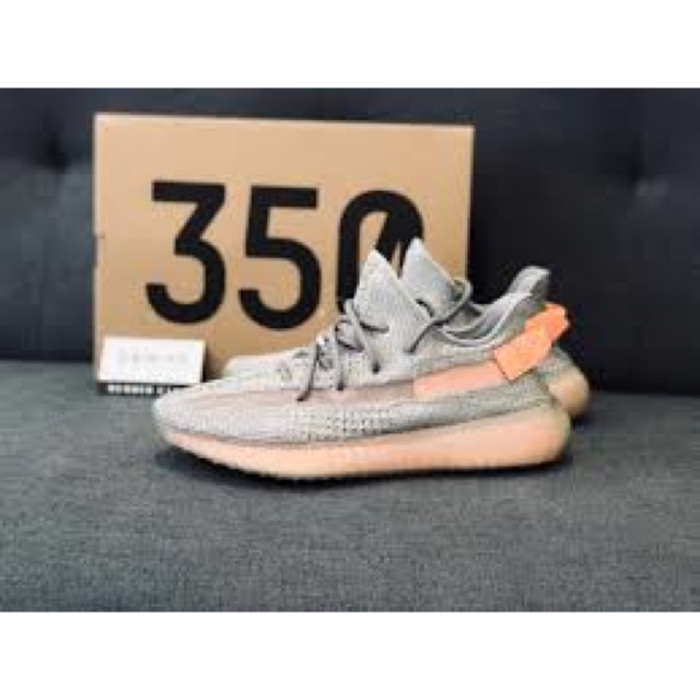 adidas superstar brown