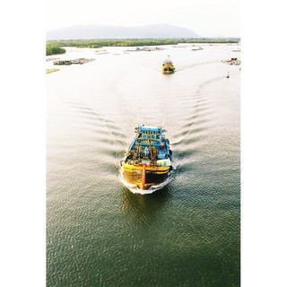 Film máy ảnh Lomography 100
