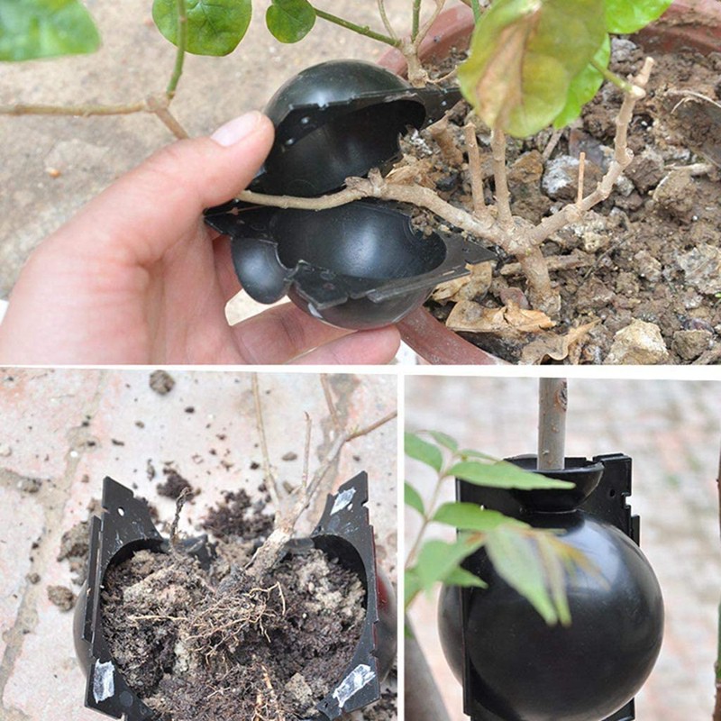 Set 10 hộp tròn ghép nối tạo rễ cây áp suất cao kiểm soát nhân giống cây trồng màu đen cỡ S cho sân vườn