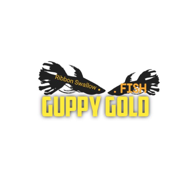 GUPPY GOLD, Cửa hàng trực tuyến | BigBuy360 - bigbuy360.vn