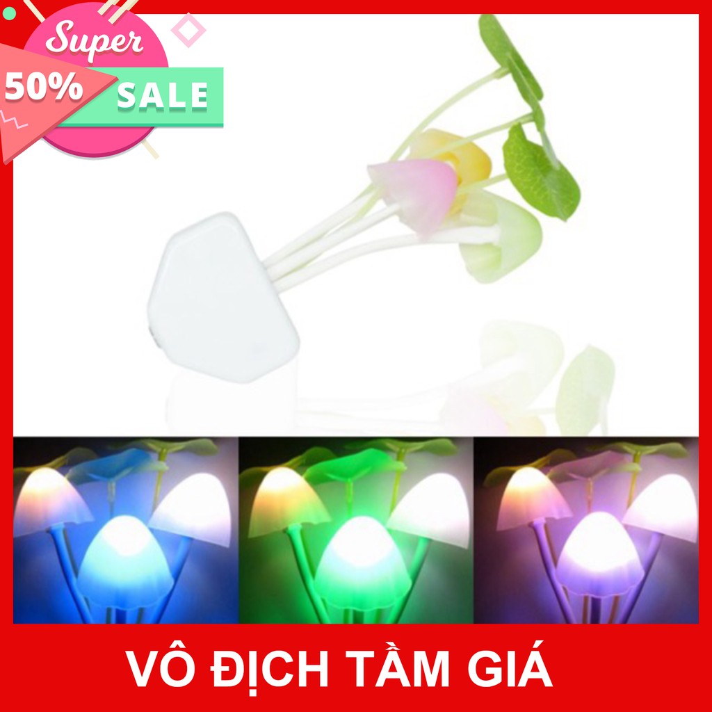 ĐÈN NGỦ CẢM ỨNG NGÀY TẮT TỐI BÂT HÌNH NẤM  giảm giá 50% mua ngay nhanh tay
