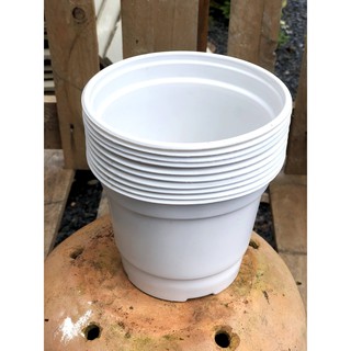 Bộ 10 chậu nhựa trắng trồng cây kích thước  150x120mm