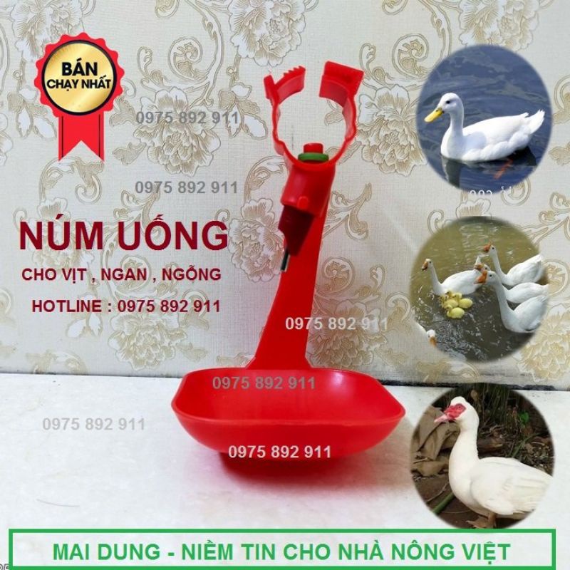 Máng uống tự động cho ngan vịt - dạng núm vuông và tròn