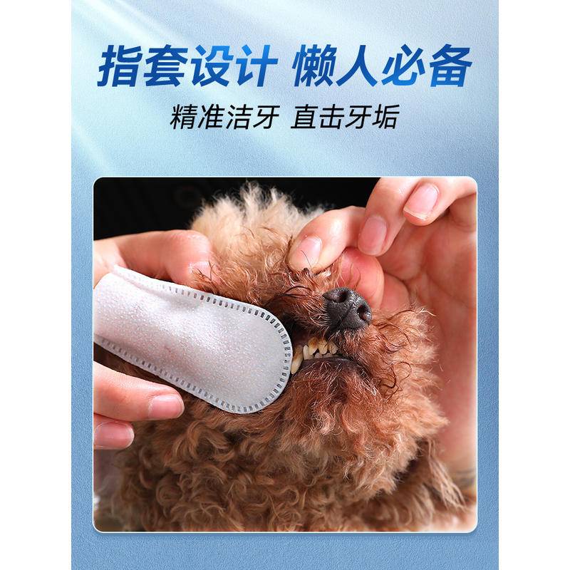Set 40 Khăn Vệ Sinh Răng Miệng Dành Cho Thú Cưng