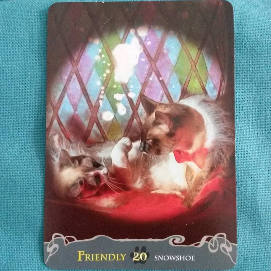 Cats Inspirational Oracle Cards (Mystic House Tarot Shop)