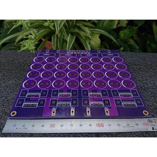 PCB nguồn đôi 32 tụ điện (Màu tím)