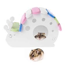 Nhà ngủ gỗ hình ốc sên cho hamster