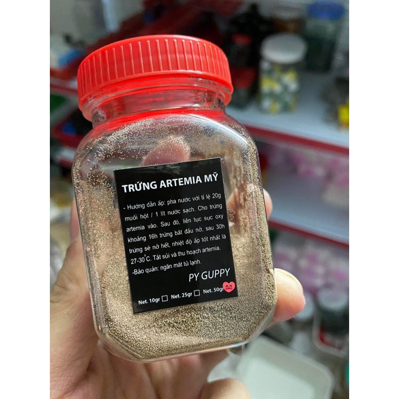 50 gram trứng artemia Mỹ nở siêu tốt