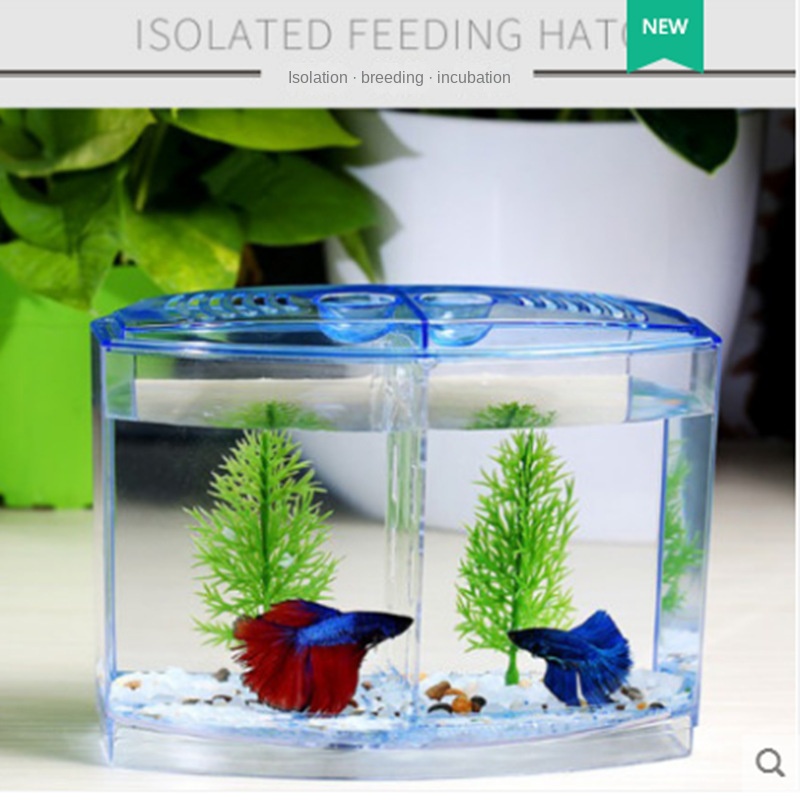 Hộp Nuôi Cá Cách Ly Đa Năng Tiện Lợi