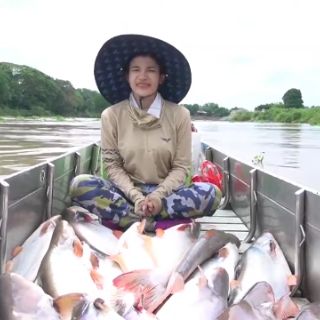 TINH MÙI CÂU CÁ TRA THAILAND MAYME