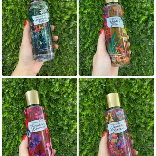 Combo 10 chai xịt vic