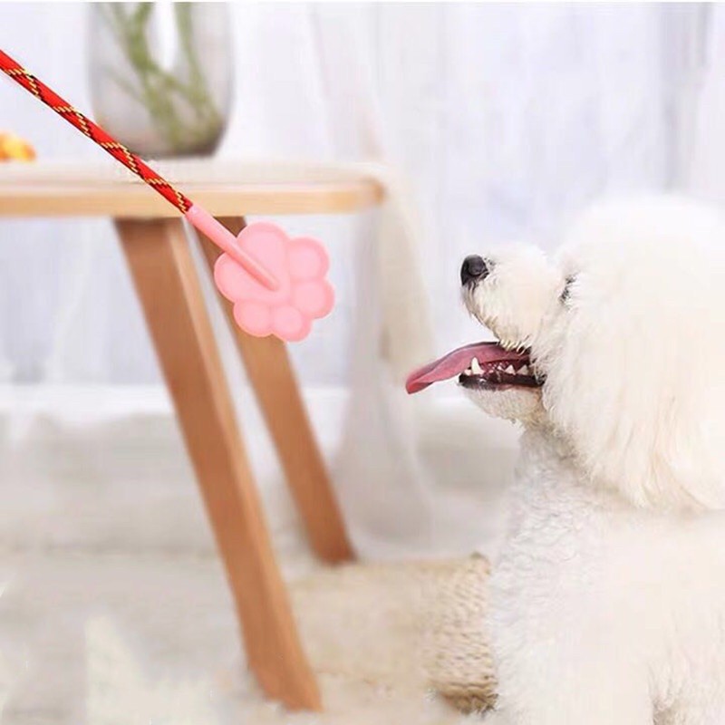 Roi Huấn Luyện Thú Cưng, Roi Huấn Luyện Chó Mèo giahuypetshop